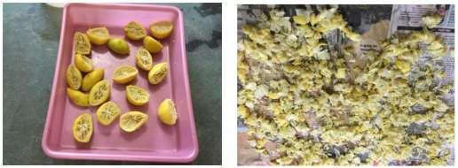 Figure 1: Citrus Lemon Peel against various diseases which are related to antioxidative, antitumor and antimicrobial activities [6].