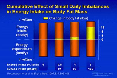 Consistent differences, even if very minor, between energy intake and