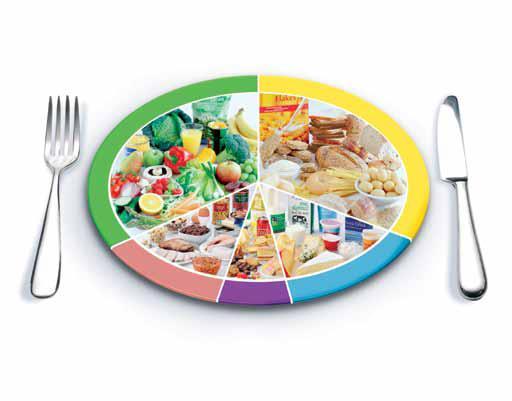 Eatwell plate Obesity