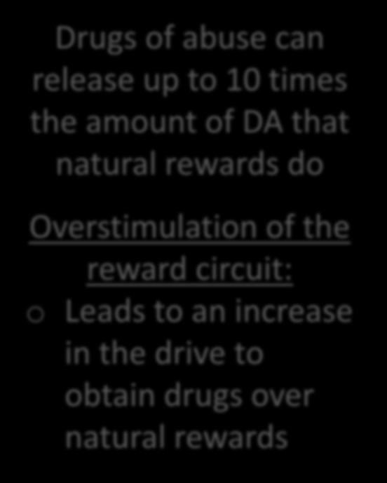 Drugs of abuse can be more reinforcing than natural rewards DA DA Drugs of abuse can release up to 10 times the amount of DA that