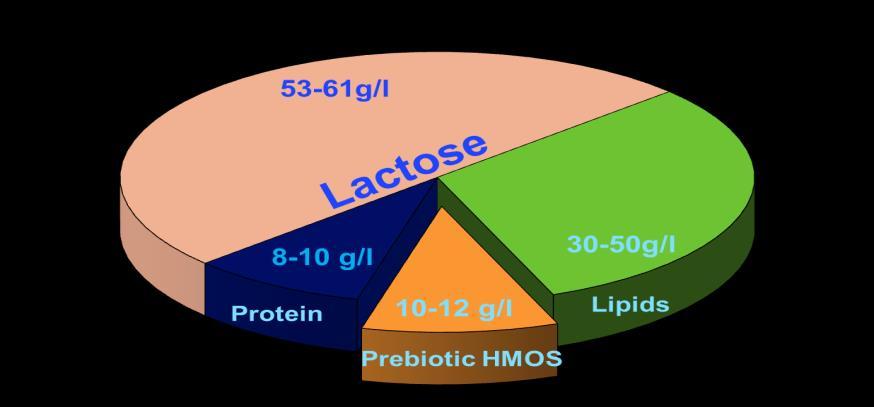 Human Milk Oligosaccharides (HMOS) A family of structurally diverse unconjugated glycans The