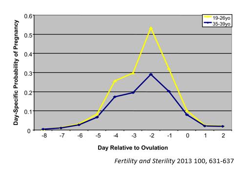 to ovulation + day of ovulation Highest probability of