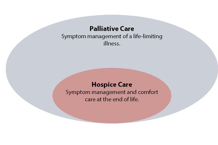 Palliative Care and