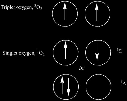 Singlet oxygen Singlet oxygen is highly
