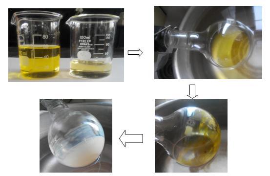 solution. From the stock solution, dilutions of standard concentration range of 2-20 µg/ml were prepared with 10 ml methanol in 10 ml volumetric flask.