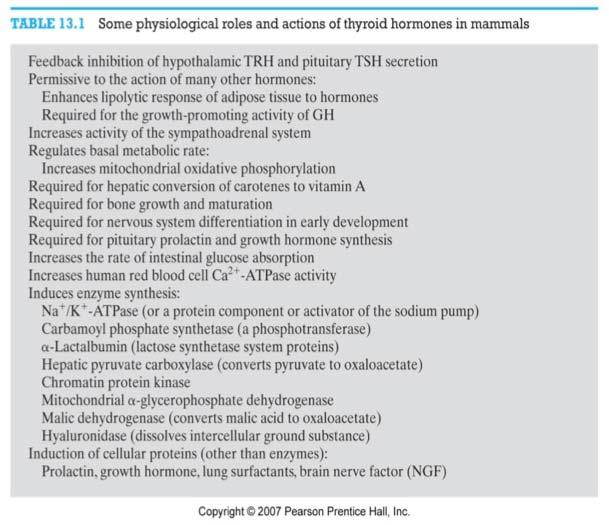 Physiological effects of thyroid T3 - T4 have multiple physiological effects Physiological effects of thyroid 500 metabolism (ml O2 / 100g/h) 300 100 T3 T4 0 100 200 dose of thyroid hormone 500 body