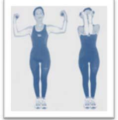 Breathe out. 5. Repeat this 8 times. Shoulder Lifts Lovely for strengthening the upper back! Makes you feel so relaxed! 1. Stand tall. 2.