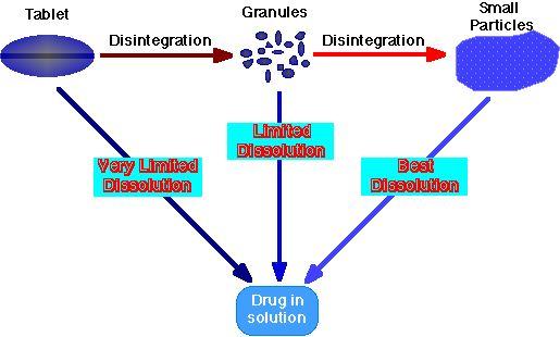 The processes involved in the dissolution of a tablet before absorption. A drug cannot be absorbed across the intestinal wall as a solid. It must first dissolve in the fluid of the G-I tract.