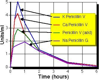 Plasma penicillin concentration versus time curve after oral administration of various salts (redrawn from Juncher, H. and Raaschou, F.