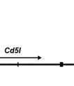 Il23r (a), Tbx21 (b), Il10 (c), Prdm1 (d), Cd5l (e) loci are shown.