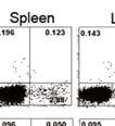 IFN-, ROR t, and Foxp3 were determined using flow cytometry