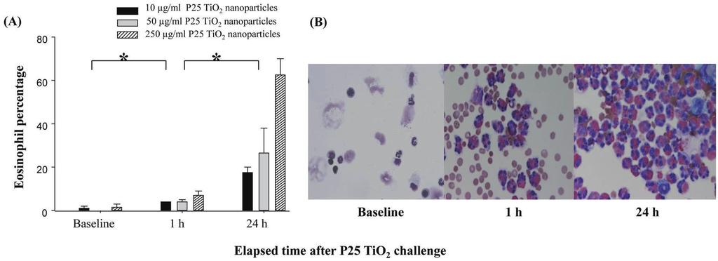 292 G CHOI et al. Fig. 3. Eosinophil percentage change in bronchoalveolar lavage fluid (BALF).