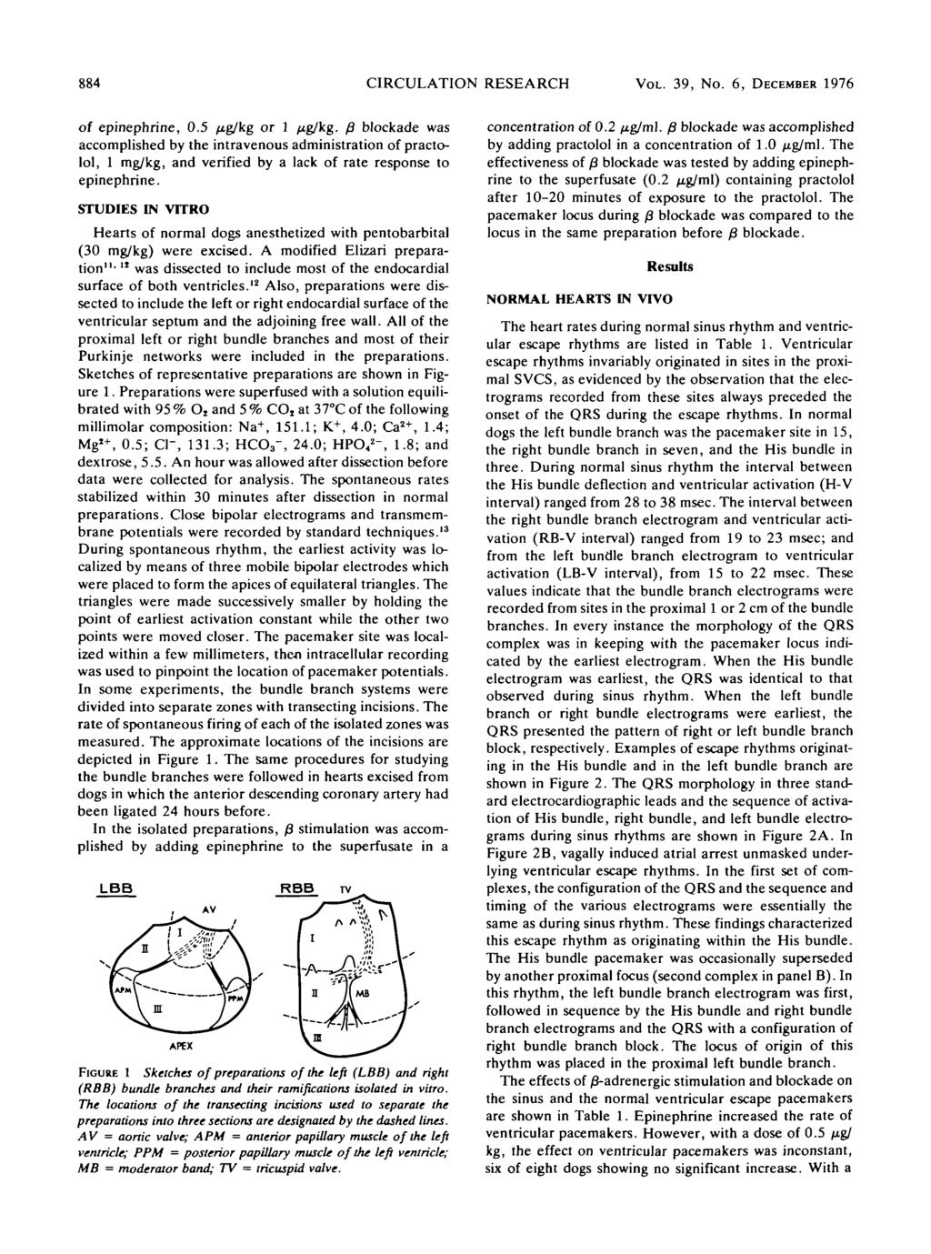 884 CIRCULATION RESEARCH VOL. 39, No. 6, DECEMBER 1976 of epinephrine, 0.
