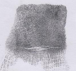 According to Hawthorne, 2009 fingerprint is an impression or reproduction left on any surface by the friction skin of the fingers.