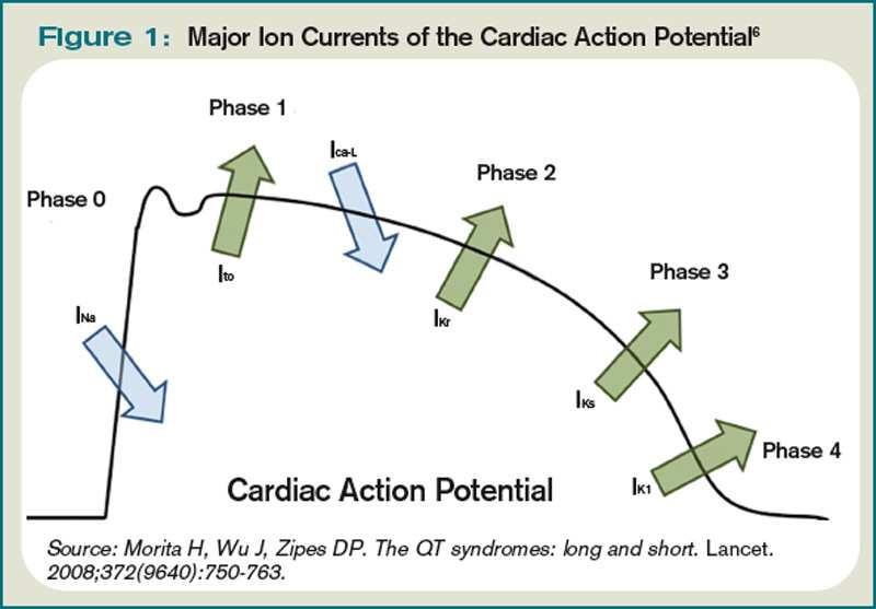 Cardiac Ion