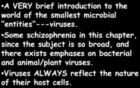 Today s lecture agenda A VERY brief introduction to the world of the smallest microbial entities ---viruses.