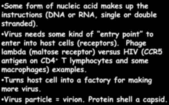 Nomenclature about viruses Some form of nucleic acid makes up the instructions (DNA or RNA, single or double stranded). Virus needs some kind of entry point to enter into host cells (receptors).