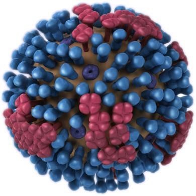 Influenza-NanoLuc Reporter Virus