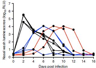 CA/09-PA Nluc Virus Reporter Virus Direct assay of nasal washes for Nluc activity is quick Nluc Viral Titer TCID 50 Assay Black = Donor Group