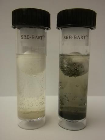 Sulfates Sulfur-reducing/oxidizing bacteria use the sulfates in water as a source of food These
