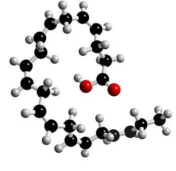 Alpha-linolenic acid (A-LNA; 18:3n3) Docosahexaenoic acid (DHA; 22:6n3)