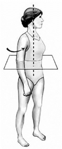 (ii) Effort (2).. Total / 9 2.2 Planes and axes of movement 1. Figure 1 shows one plane and one axis of the human body.