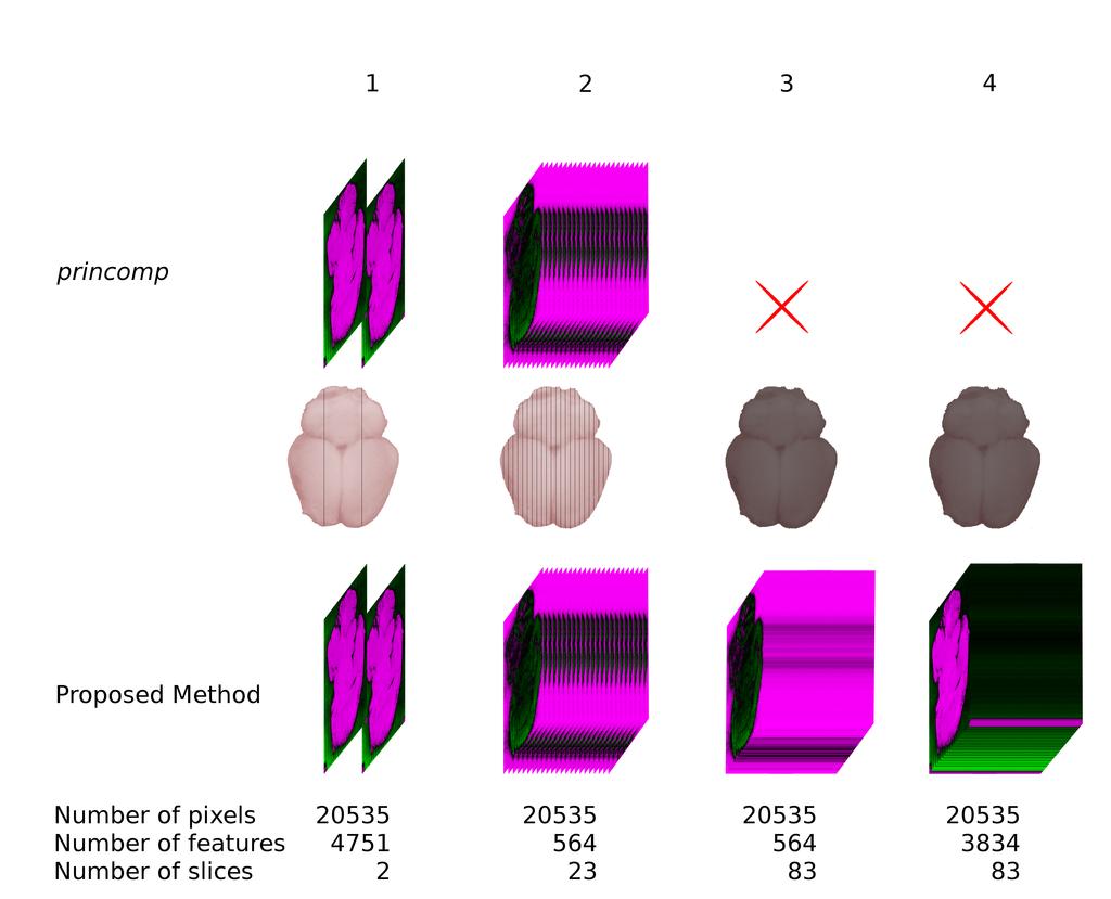 Figure 1: Simulated 3D MALDI MSI data of a 2 cm x 1 cm rat brain through repetition of a single 12 µm section image and the corresponding first principal component score image when using princomp