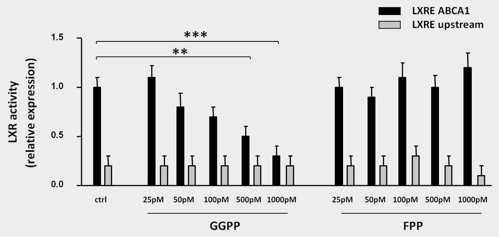 Supplementary Figure 5. Effect of GGPP and FPP on LXRα transcriptional activity. Evaluation of LXRα binding to LRE sequences in the Abca1 promoter by ChIP assay.