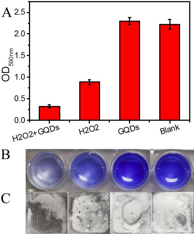 Figure S7. The effect of the GQDs based antibacterial system on the biofilm destory of S. aureus.