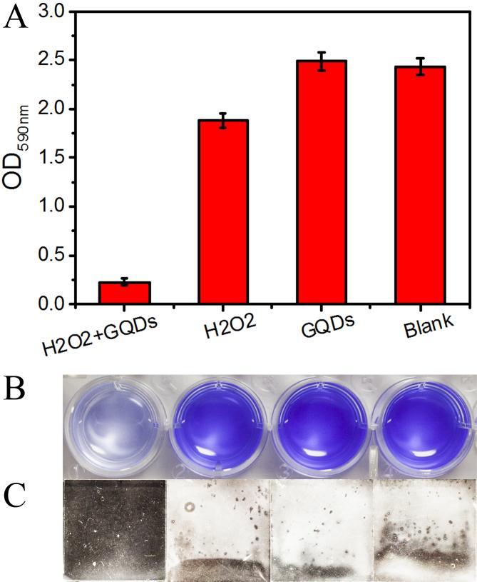 Figure S8. The effect of the GQDs based antibacterial system on the biofilm formation of S. aureus.