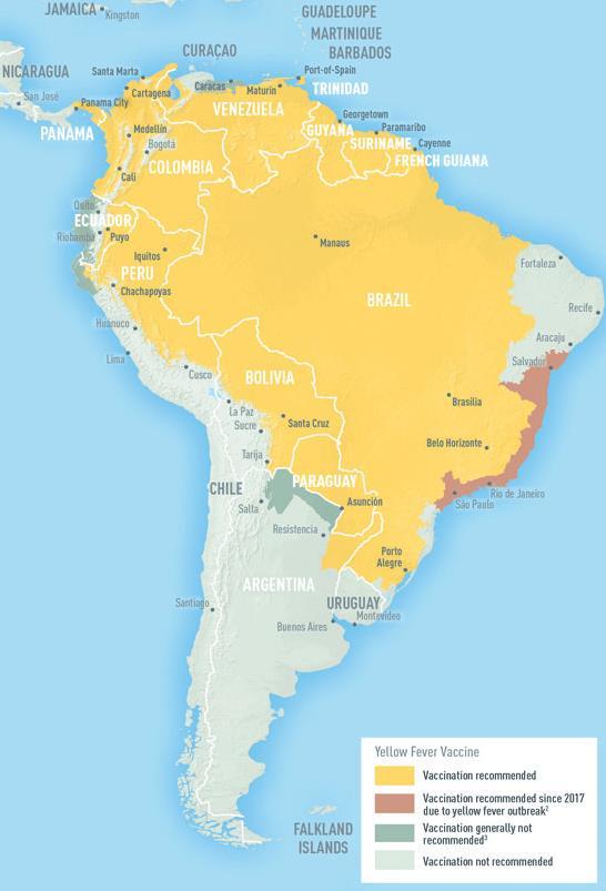 LATAM at risk areas 2016-2018 Brazil YFV
