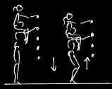 Use figurines if possible to aid your description. The gymnast begins facing down the beam and if possible should approach the skill from one step only.