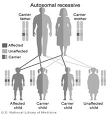 CAH Definition Congenital Adrenal Hyperplasia (CAH) refers to a group of autosomal recessive disorders in which there is a defect in one of the