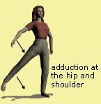 Adduction: the movement towards the central line of the body.