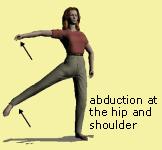 Abduction: a movement of a bone away from the centre line of the body.