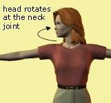 Rotation: a movement where the bone is moved around a central axis.
