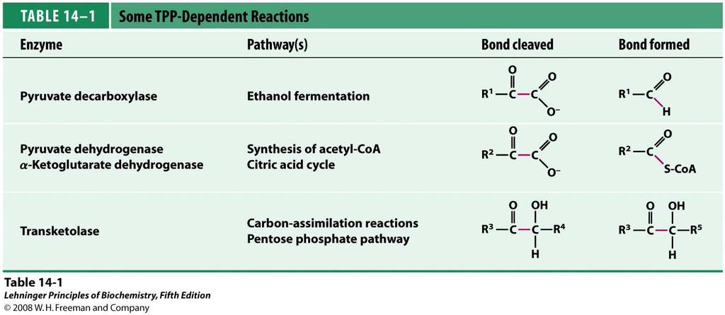 When aerobic respiration is reduced by low oxygen levels, cells with active glycolysis and energy needs can