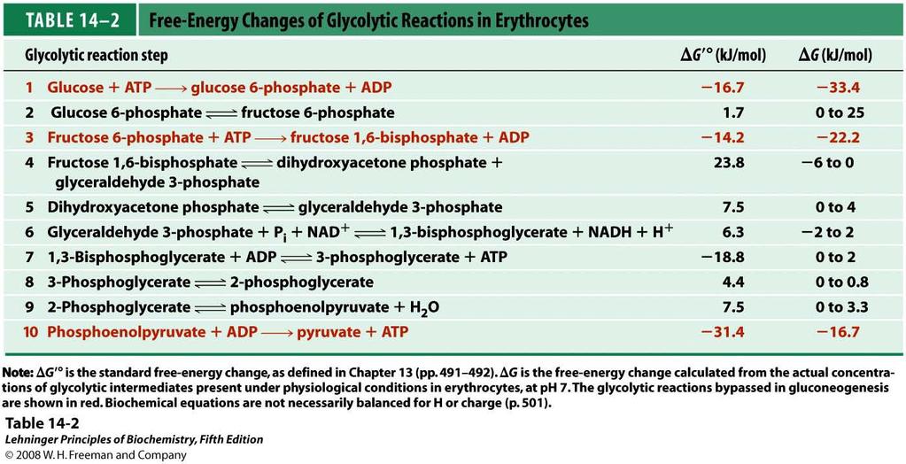 Seven of the ten reactions of glycolysis are physiologically reversible and three are not under physiological