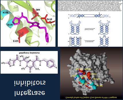 Integrase inhibitors Mutations N155H, alone and combinations with Q148K/H/R and Y143R/C/H Fuseon T20 Maraviroc Final Remarks The