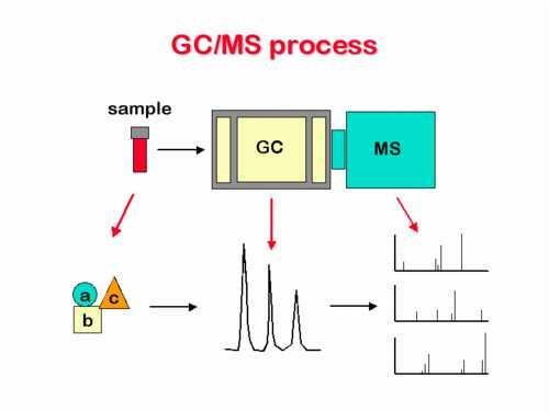 Gas chromatography - Mass spectrometry GC: separation of the different