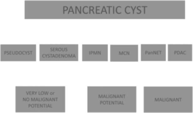 Lennon and Canto Pancreas Volume 46, Number 6, July 2017 FIGURE 1. Pancreatic cyst classification: low versus high risk.