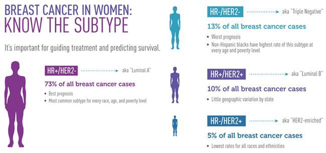 Breast Cancer subtypes 1.