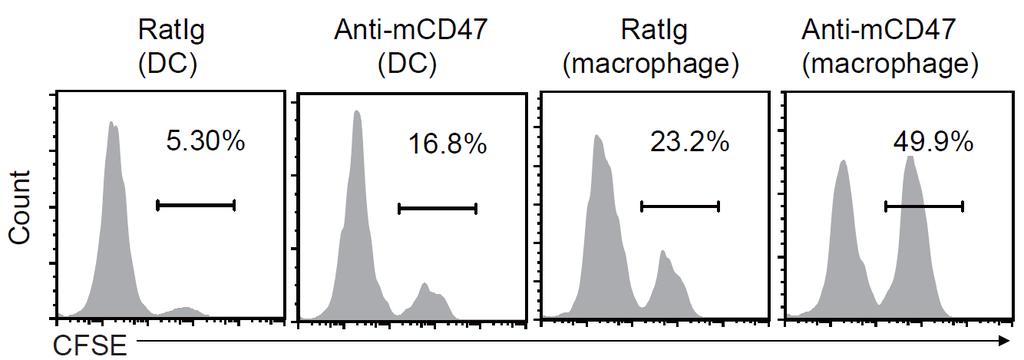 % of EdU + cells Anti-CD47 increases DNA and tumor uptake by both DC and macrophages CFSE-labeled MC38 tumor cells + BMDC or BMM Ab 1 h.