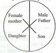39. Study the pedigree chart of a certain family given below and select the correct conclusion which can be drawn for the character. 1) The female parent is heterozygous.
