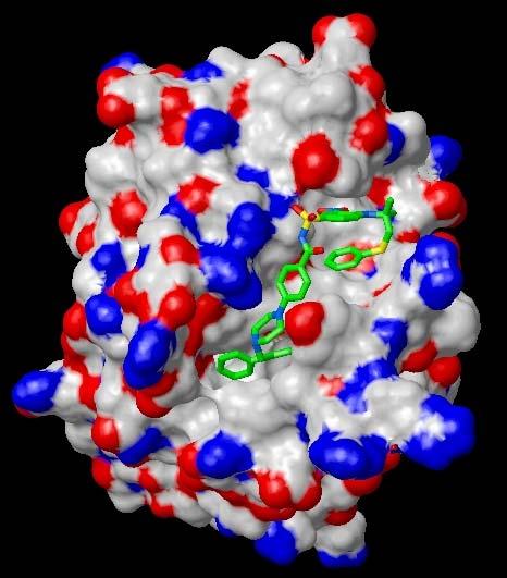 ABT-263 Introduction Orally bioavailable, BH3 mimetic small molecule inhibitor of Bcl-2 family proteins Binds with high affinity to multiple anti-apoptotic Bcl-2 family proteins including Bcl-X L,