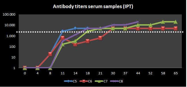 PRELIMINARY RESULTS SERUM VS ORAL FLUID In both groups similar results were found: Seroconversion in serum samples: 8-11 days Seroconversion