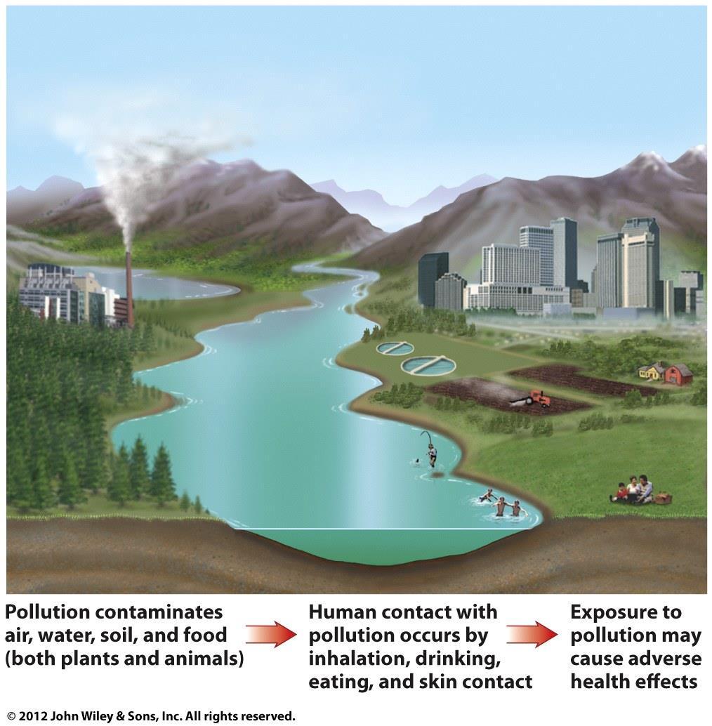 Environmental Pollution and Disease Pathways of Pollution Often difficult to link