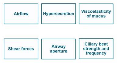 Factors that affect mucocilary clearance Indications for Airway Clearance Therapy (AARC Clinical Practice Guideline) Inadequate Airway Clearance Indications
