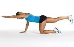 Build up reps to 10-30 sec holds. Kneel on the floor in prone position (face down).
