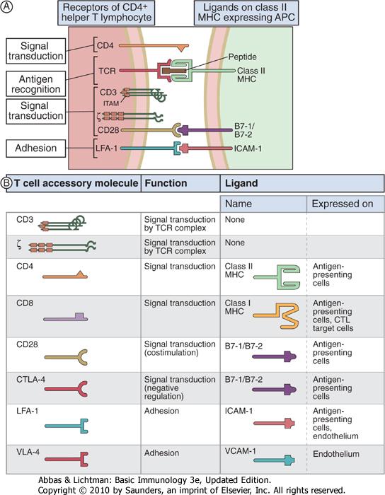 Ligand- receptor pairs